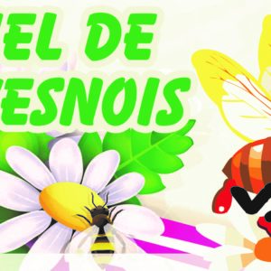 Miel de l’Avesnois