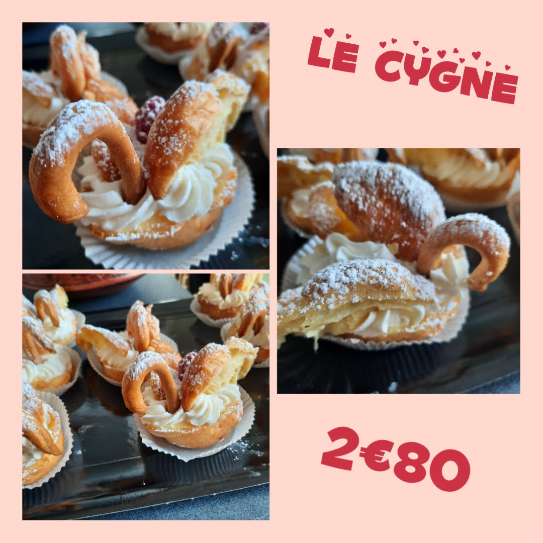 Le Cygne