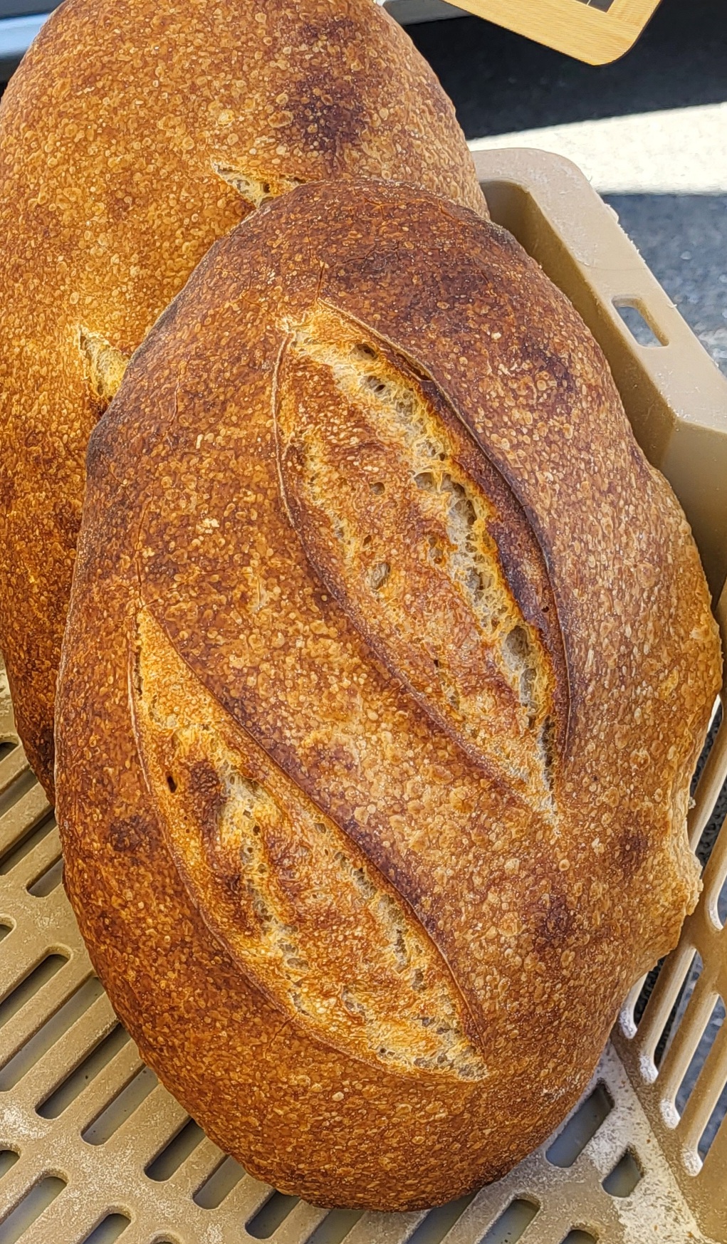 pain rustique