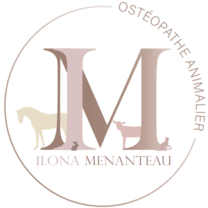 Ilona Menanteau – Ostéopathe animalier