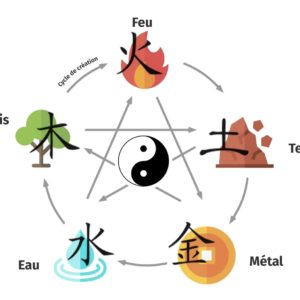 5 éléments le Yin et le Yang