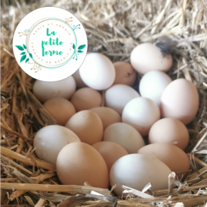 Oeufs fermiers