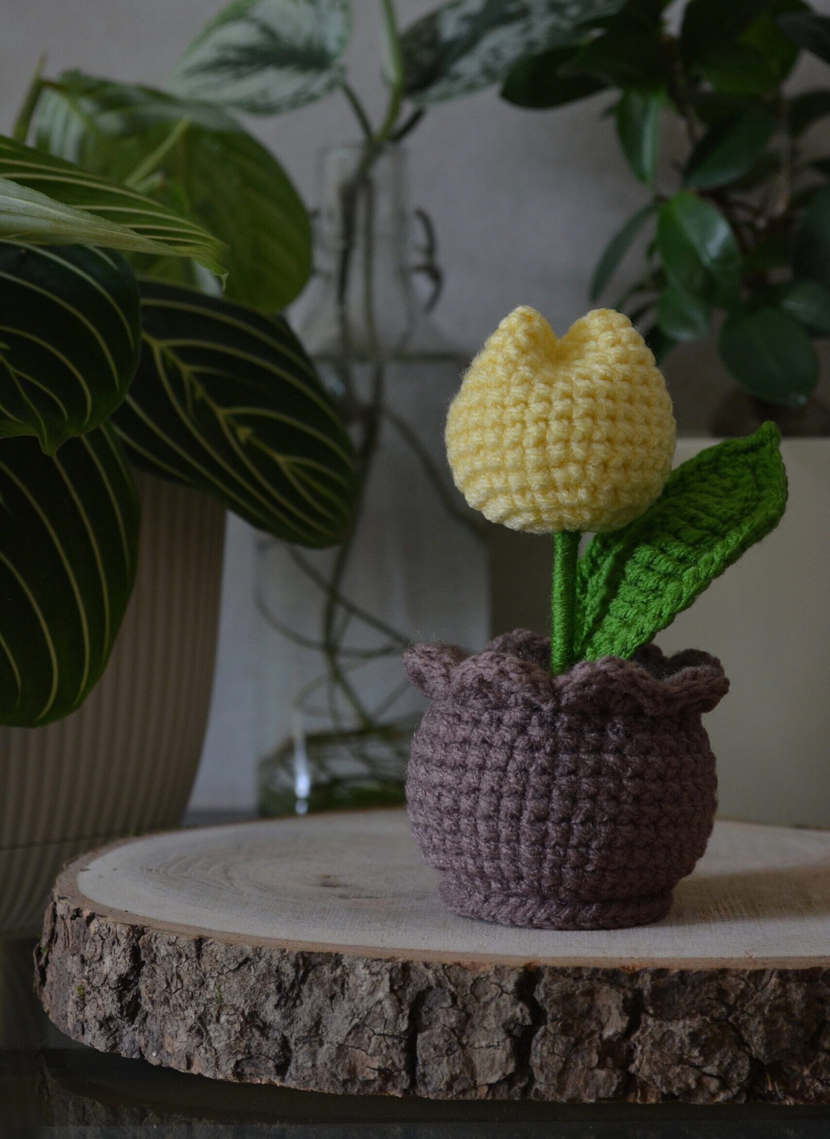 Tulipe