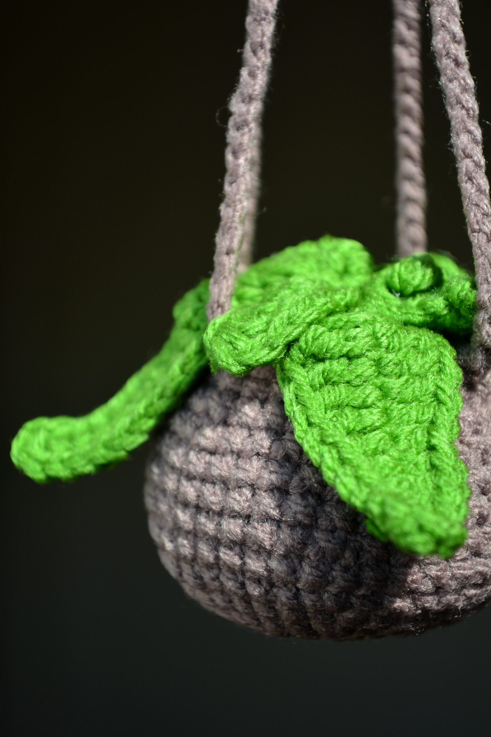 Plante suspendue – Image 3