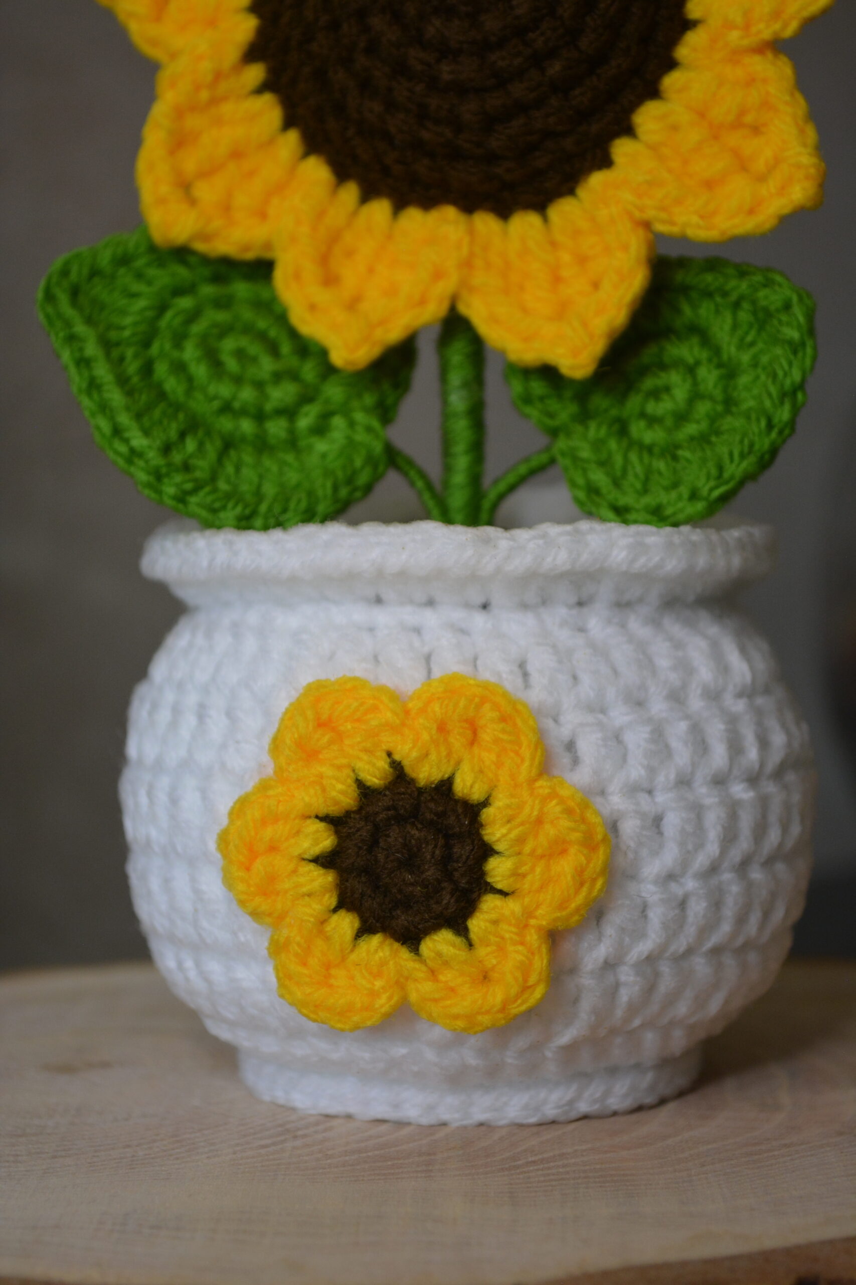 Tournesol – Image 4