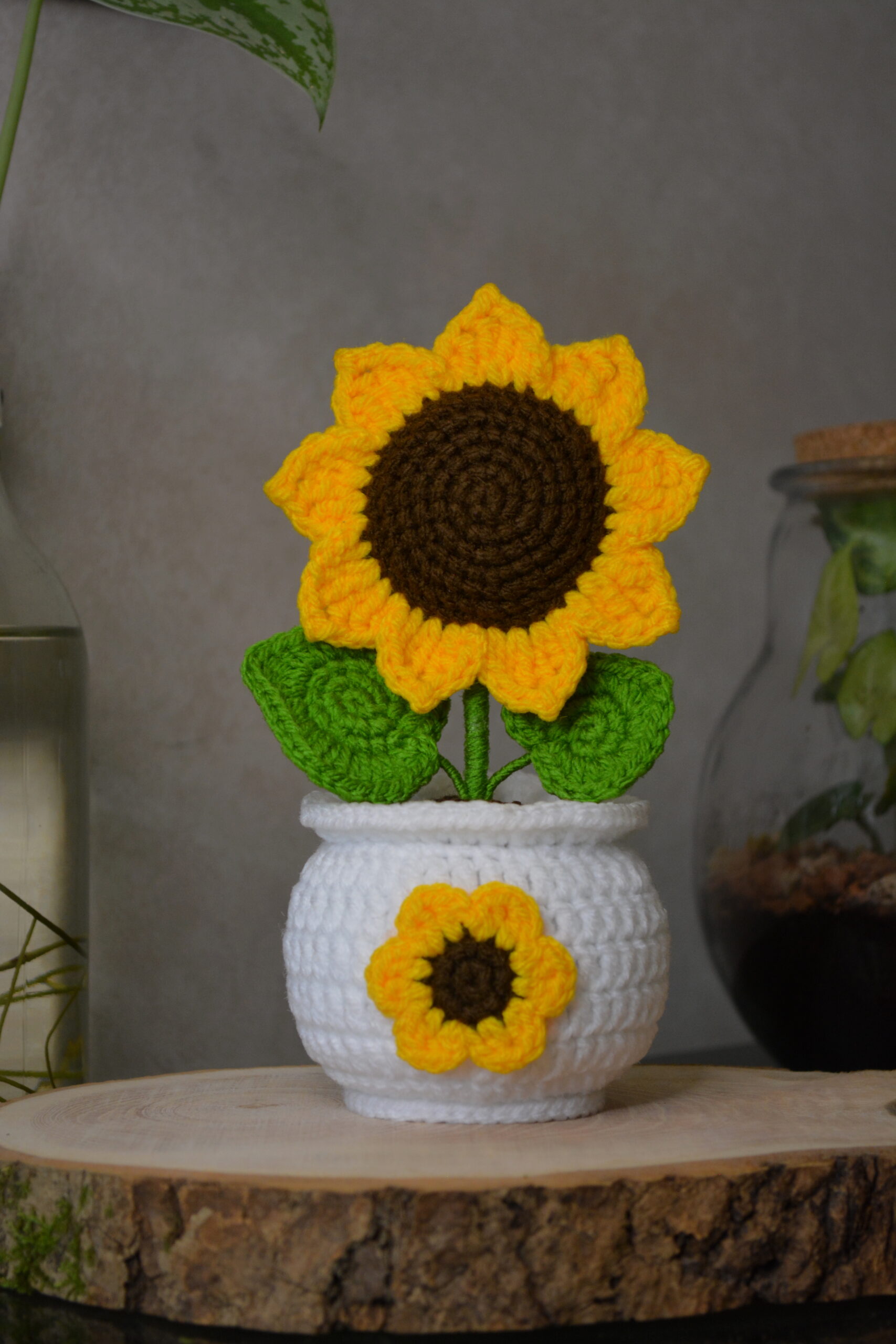 Tournesol – Image 3