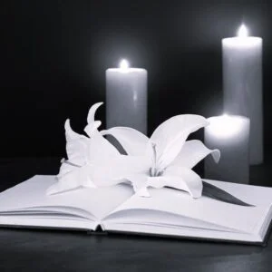 Pompes Funèbres Stéphane DELHAYE