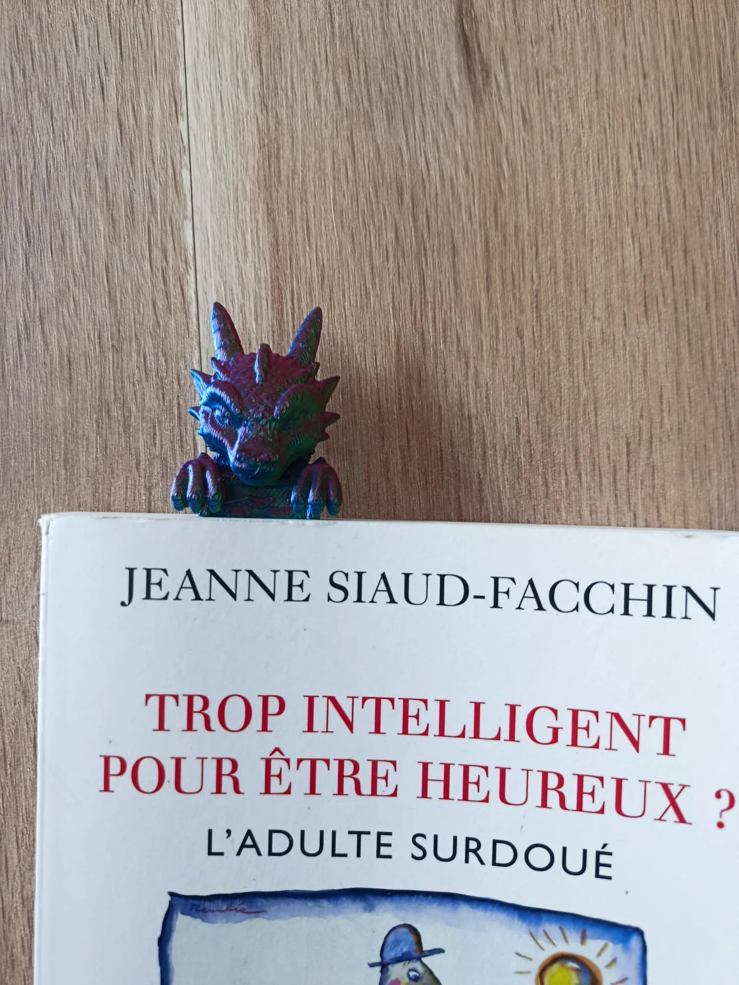 Le Gardien de vos Lectures – Image 3