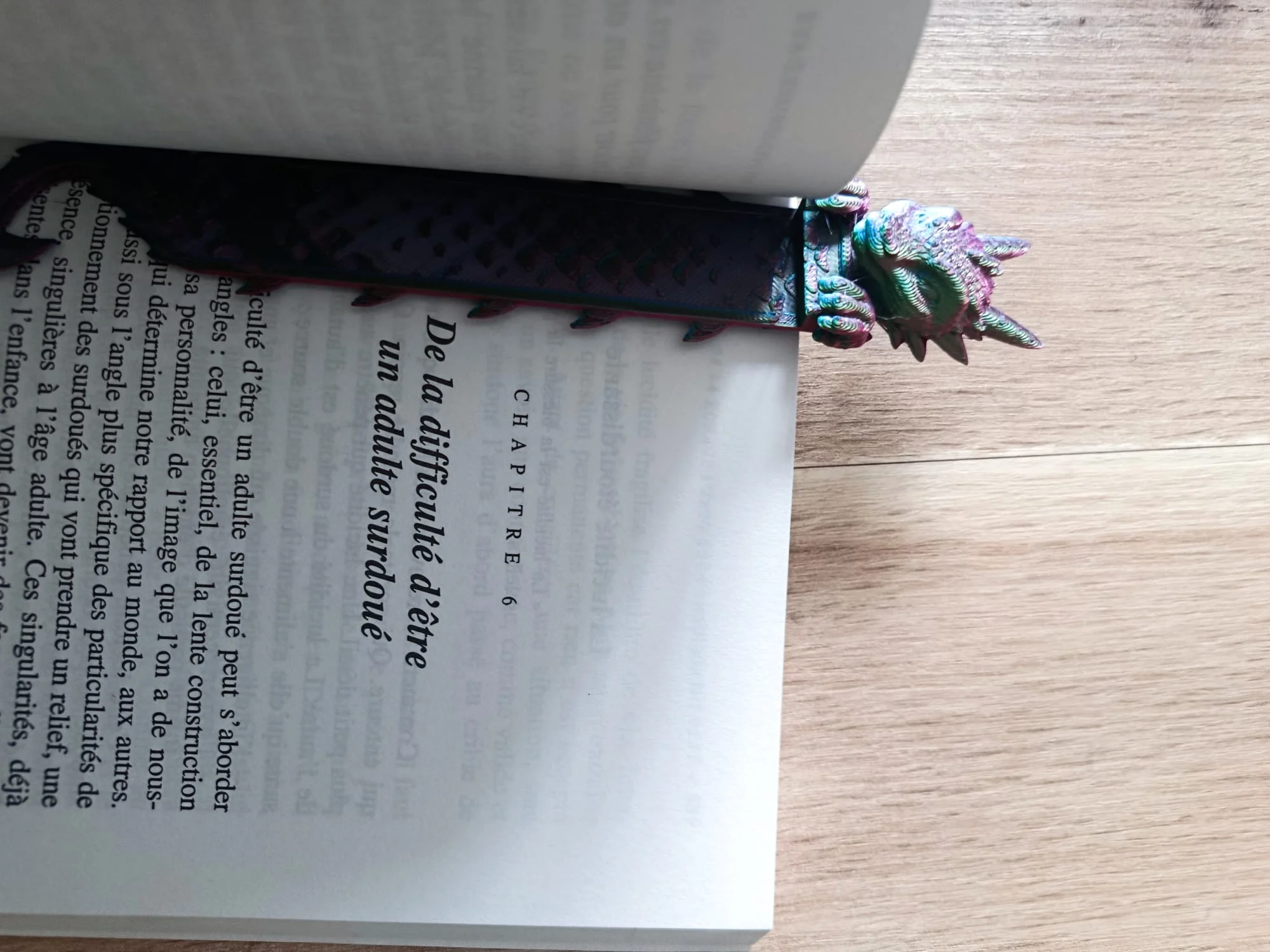 Le Gardien de vos Lectures – Image 2