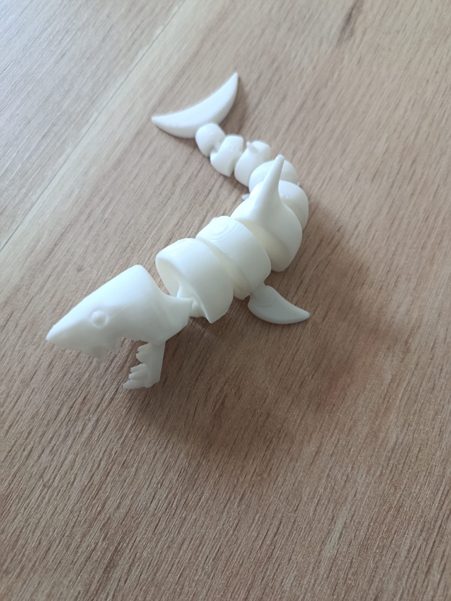 Requin Articulé – Image 2